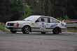 Rally Lana Storico 2014 - Foto Mariano
